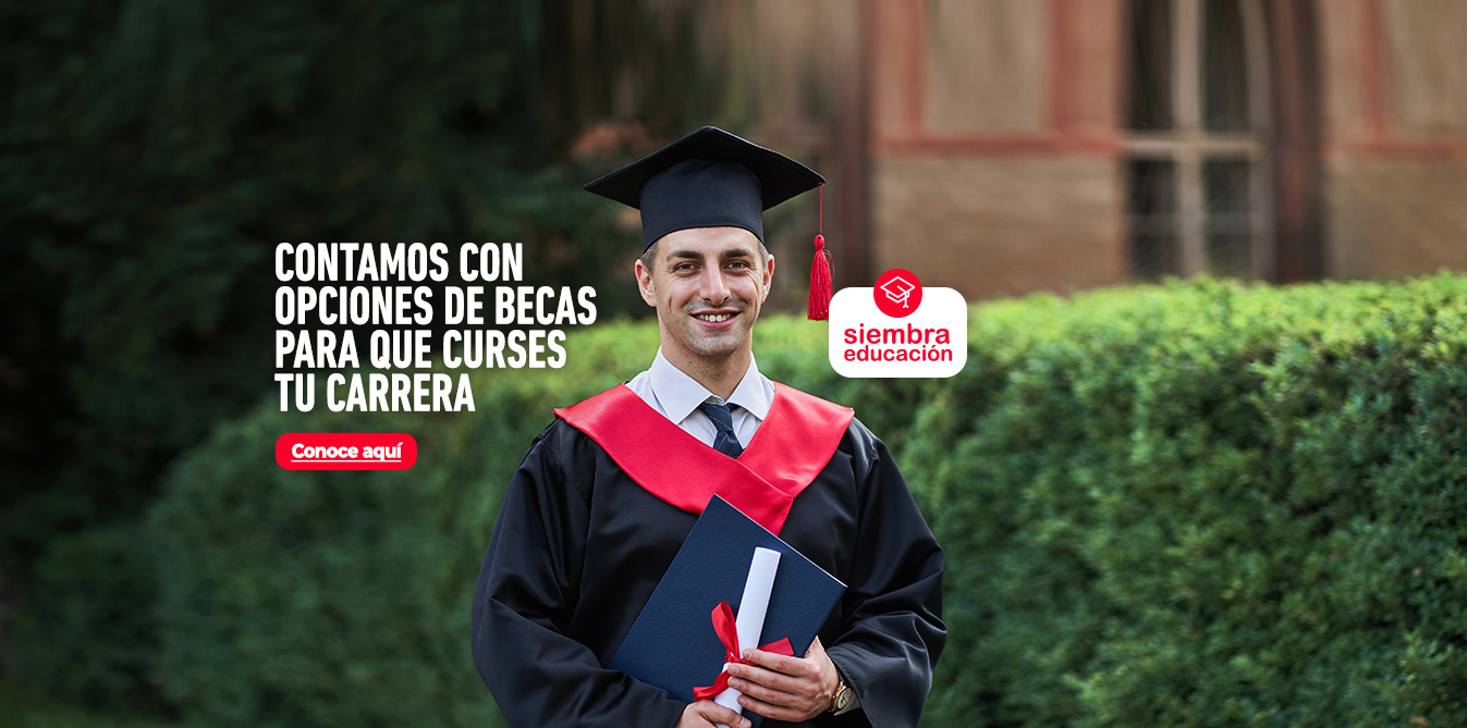 Siembra Educación Becas